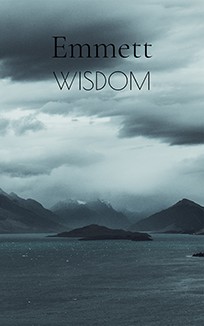 Wisdom, 21st Century Art Portfolio, Artist John Emmett